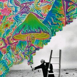 Meet your Posher, Collins